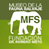 Logo MFS