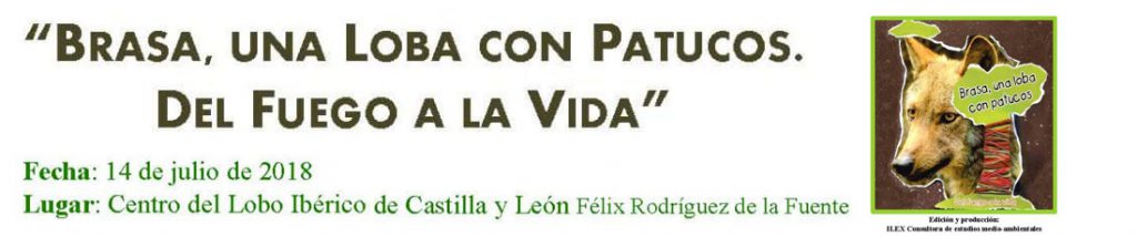 Brasa, un loba con patucos. Del fuego a la vida.