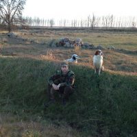 Caza ilex ambiental zamora