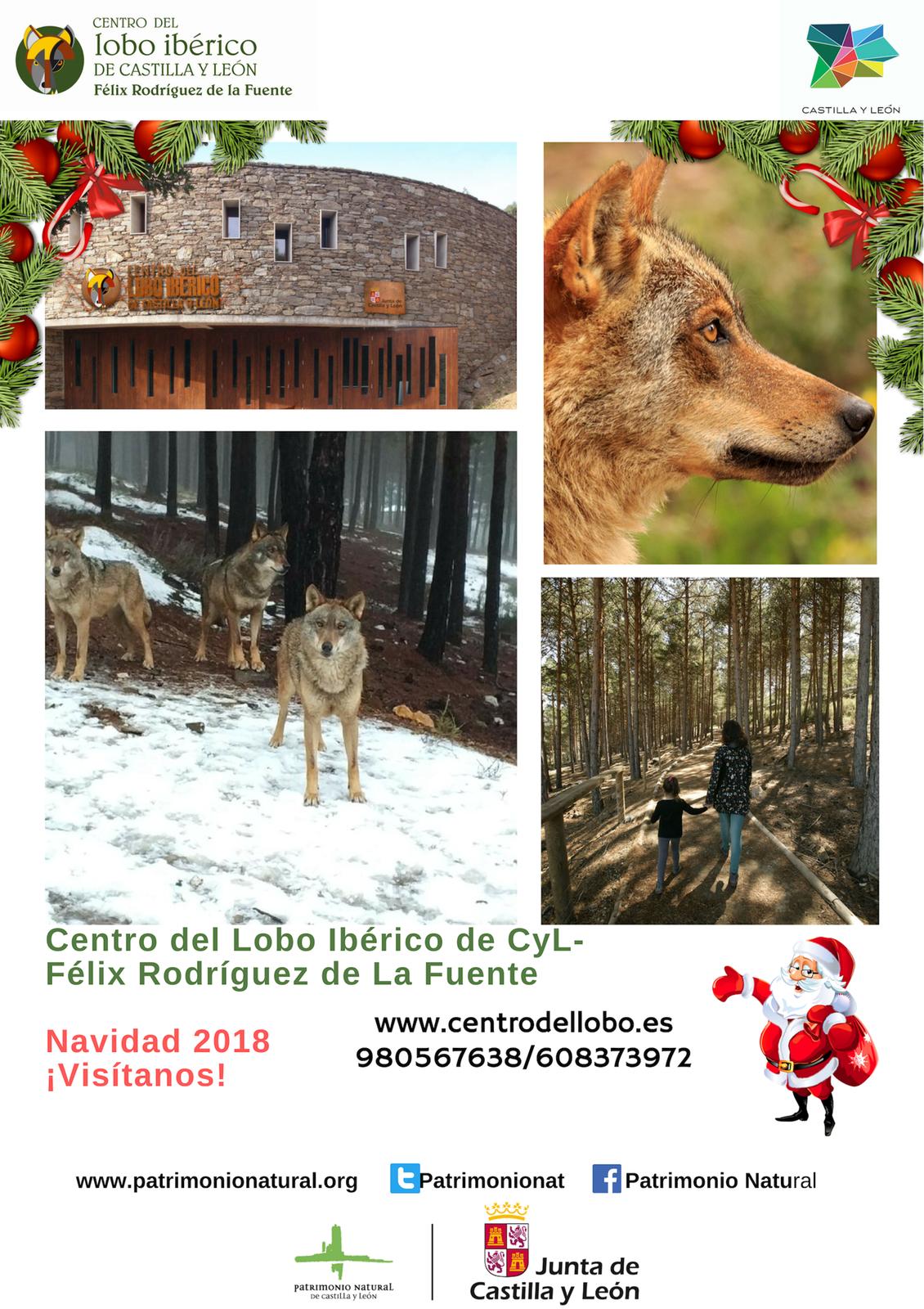 centro-lobo-navidad-familia-sanabria