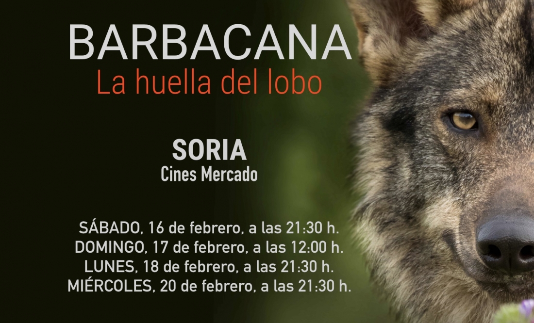 barbacana-cine-arturo-menor-lobo