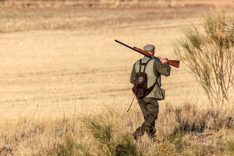 caza-junta-castilla-y-leon