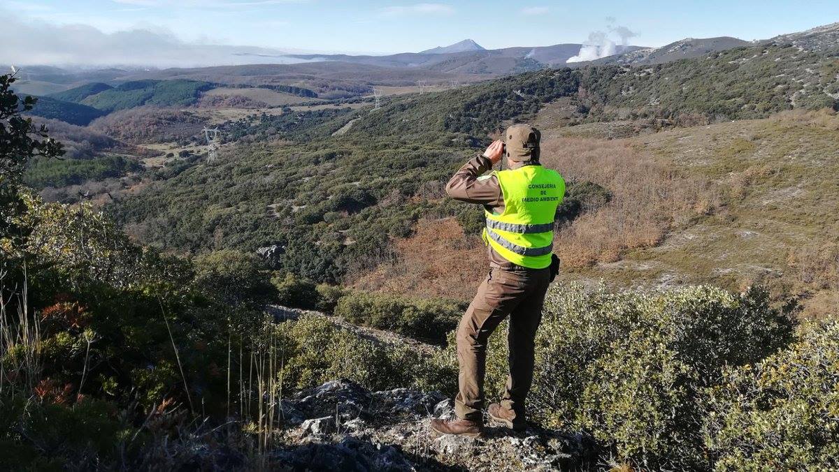 dia-agente-forestal-medioambiental