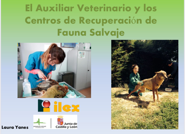 Auxiliar veterinario cras