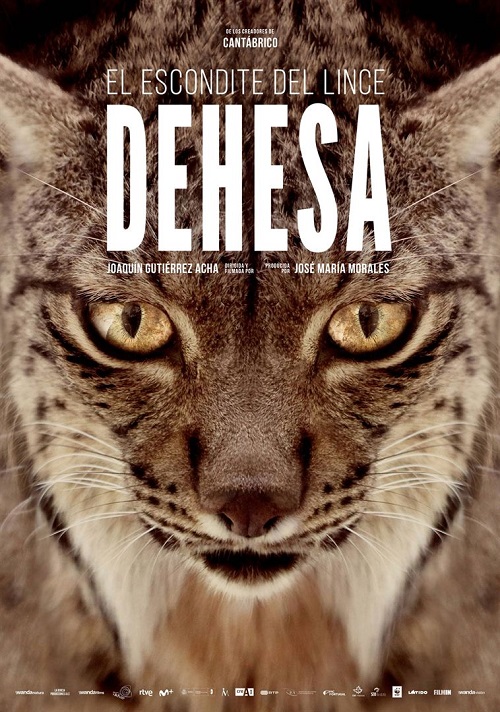 dehesa-el-escondite-del-lince