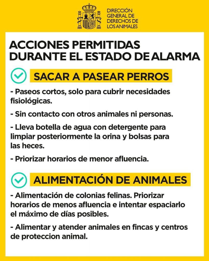 estado-de-alarma-coronavirus-mascota