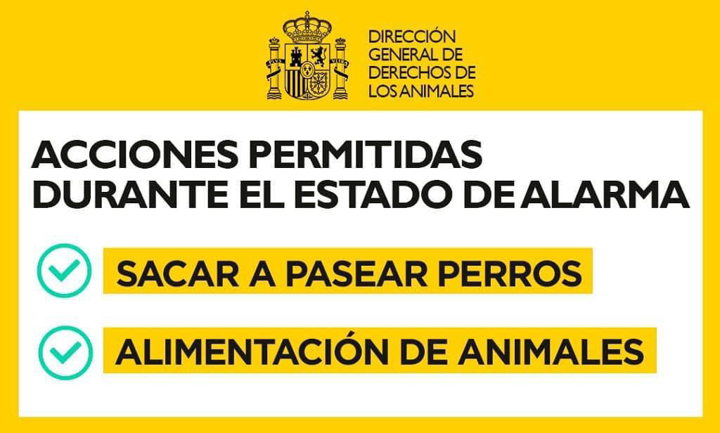 estado-de-alarma-coronavirus-mascota-cartel