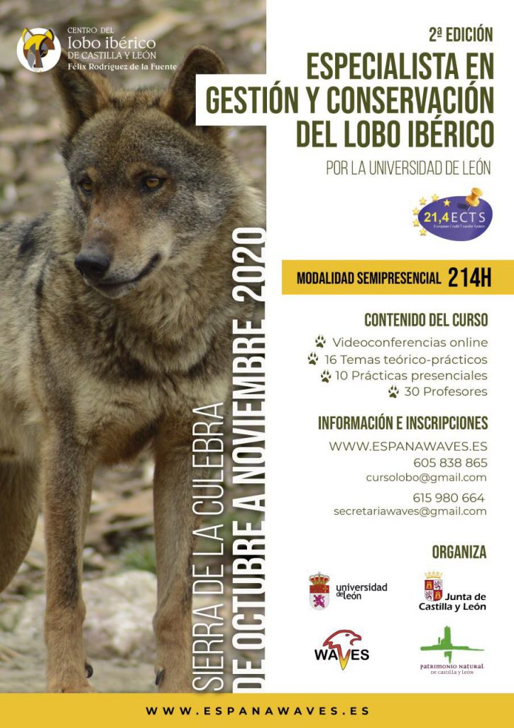 titulo-gestion-conservacion-lobo-iberico