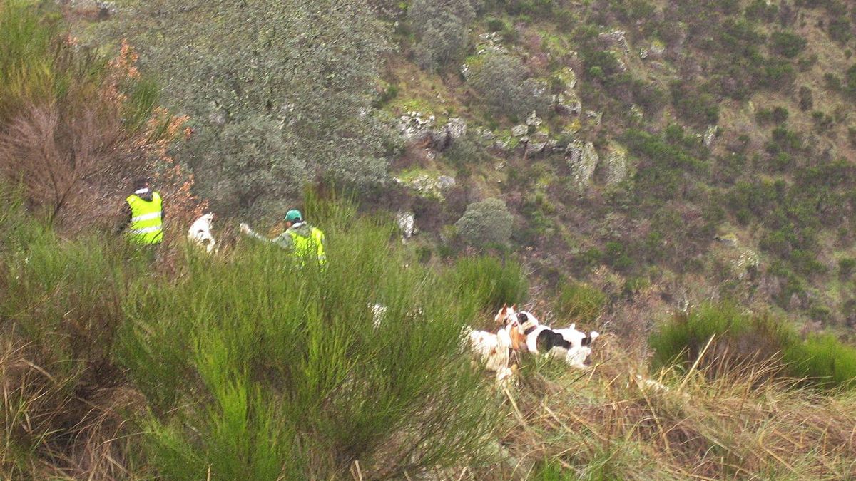 el covid paraliza comercio caza en zamora