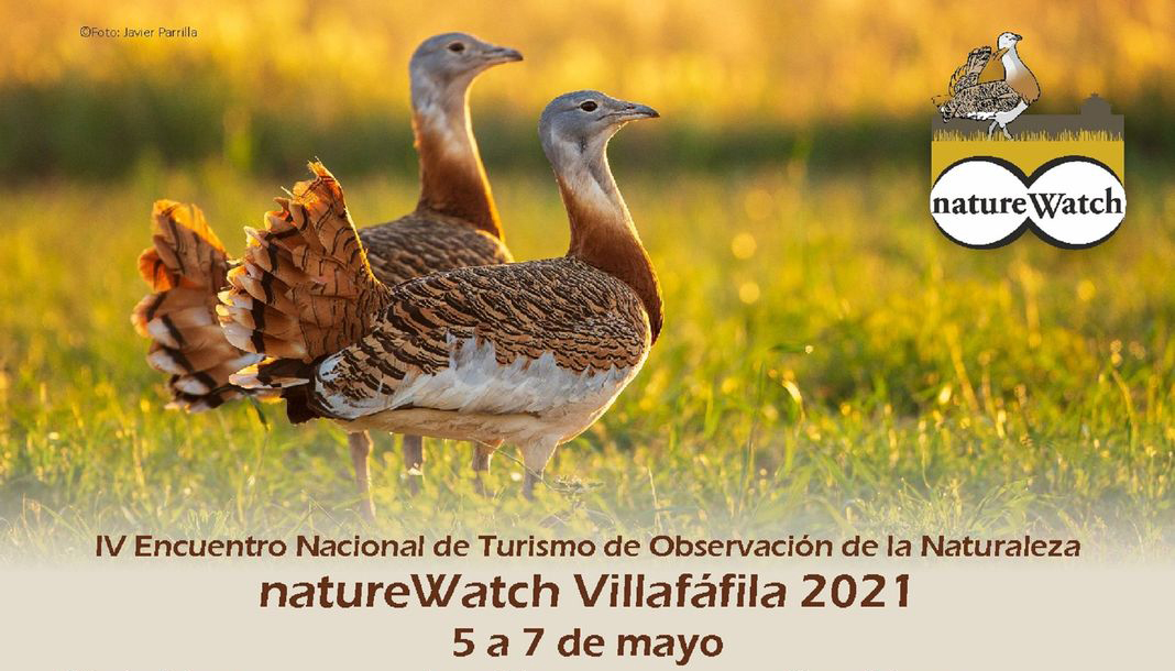 natureWatch Villafáfila 2021