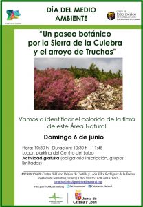 dia-medio-ambiente-paseo-botanico