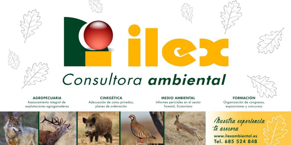 cabecera ilex ambiental zamora