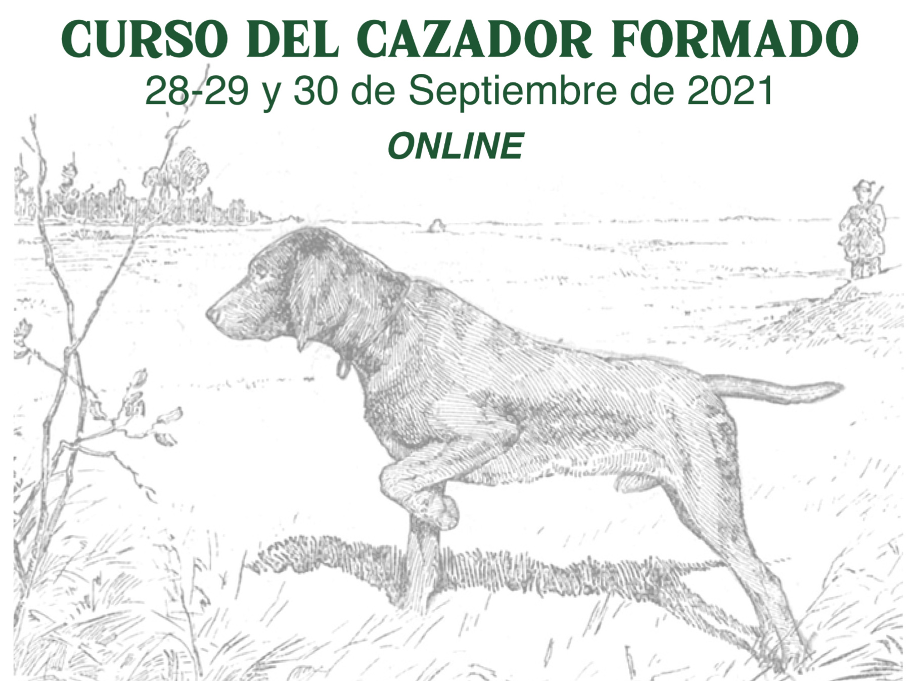 Curso del Cazador Formado