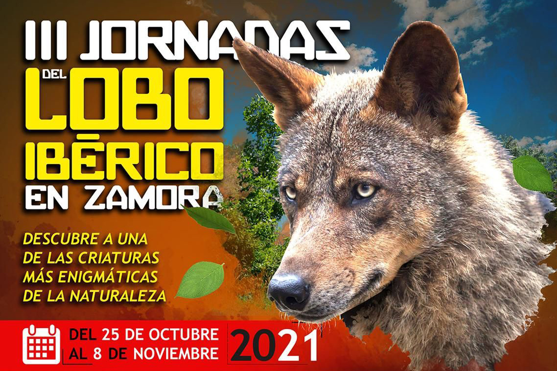 jornadas-lobo-iberico-zamora-2021-baner