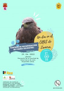 Un día en le CRAS de Zamora