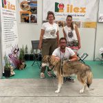 Ilex en Venandi feria caza y pesca