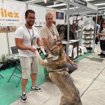 Ilex en Venandi feria caza y pesca