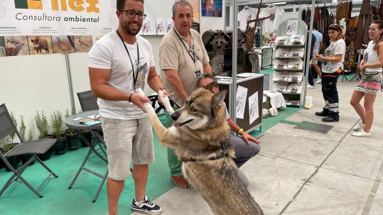 Ilex en Venandi feria caza y pesca