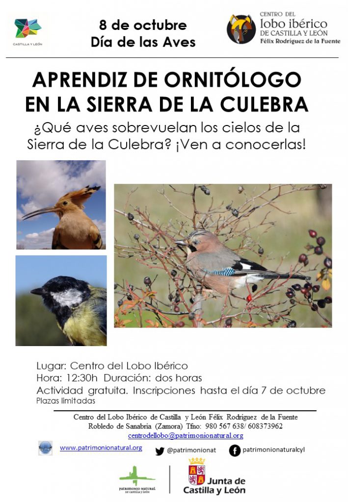 Aprendiz de ornitólogo Sierra de la Culebra