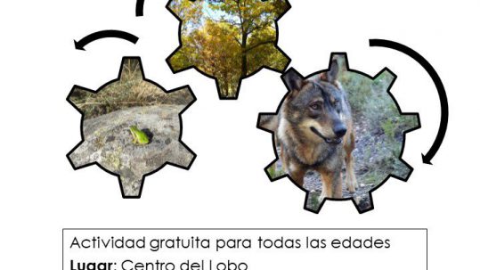 El juego de los ecosistemas y la cadena trófica.