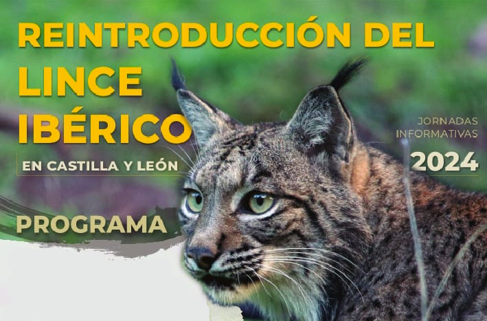 Reintroducción lince iberico zamora 2024 banner