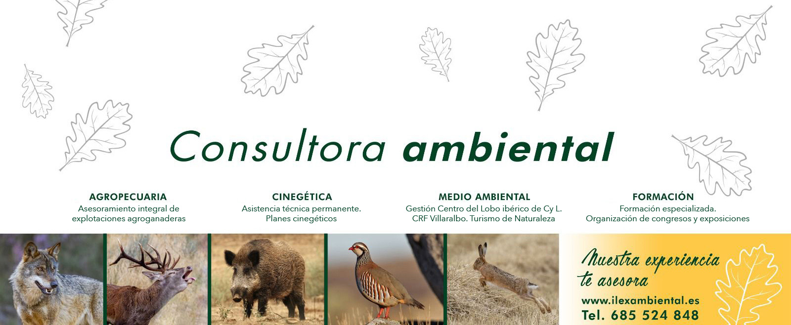 cabecera-ilex-ambiental-nueva-25