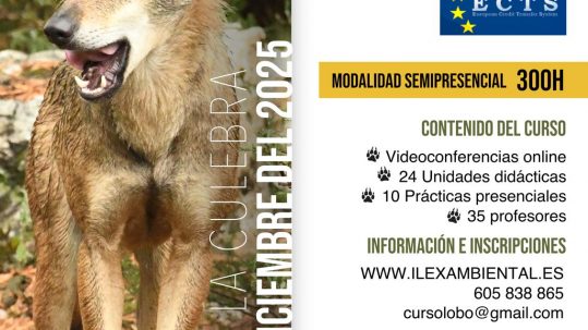 Especialista en gestión y conservación del Lobo ibérico