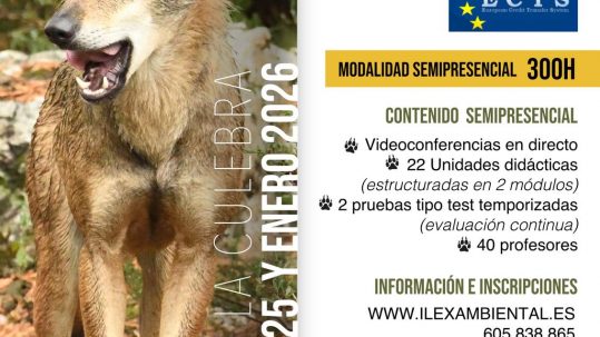 especialista-gestion-conservacion-lobo-iberico