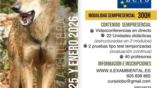 especialista-gestion-conservacion-lobo-iberico-ilex