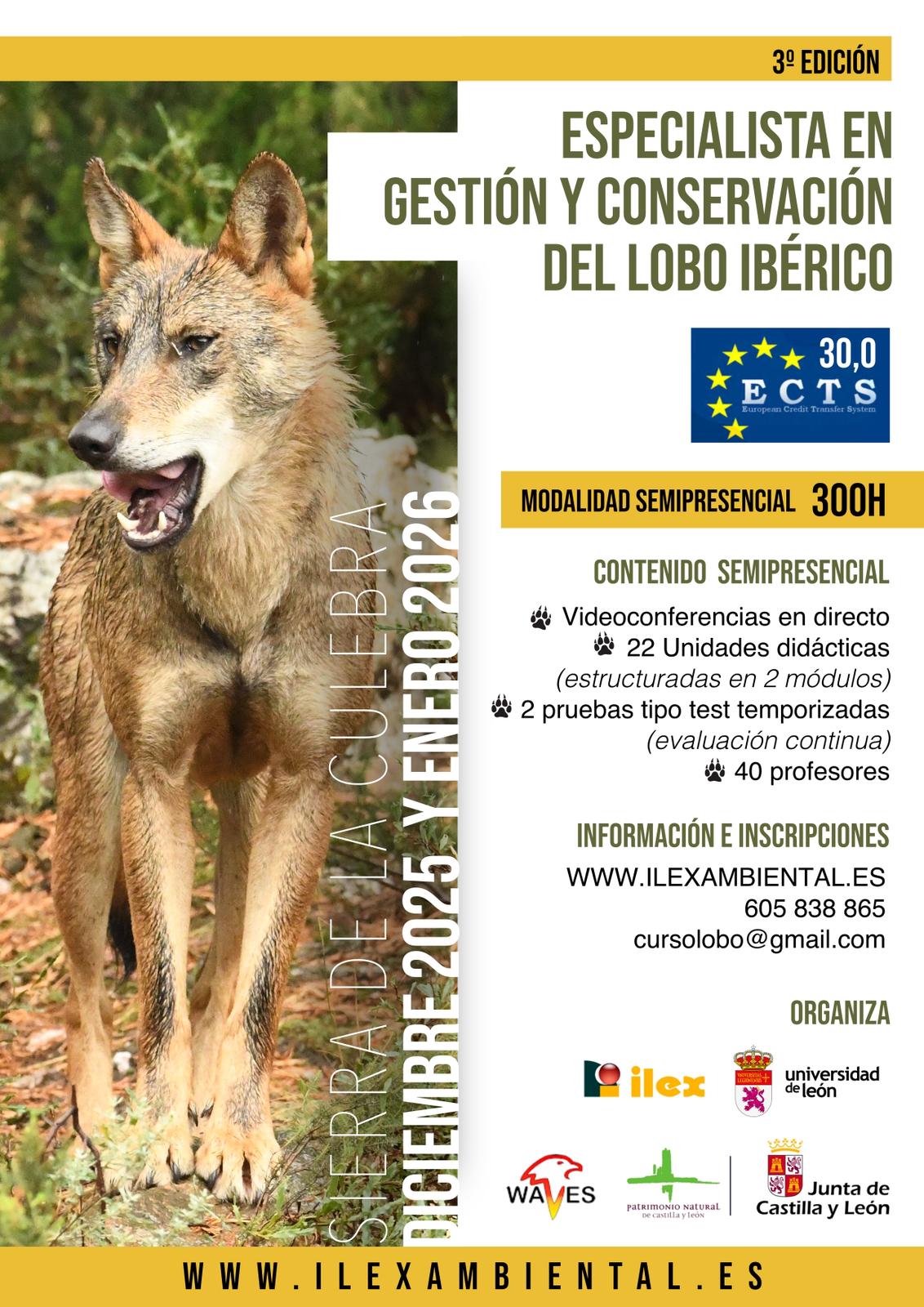 especialista-gestion-conservacion-lobo-iberico